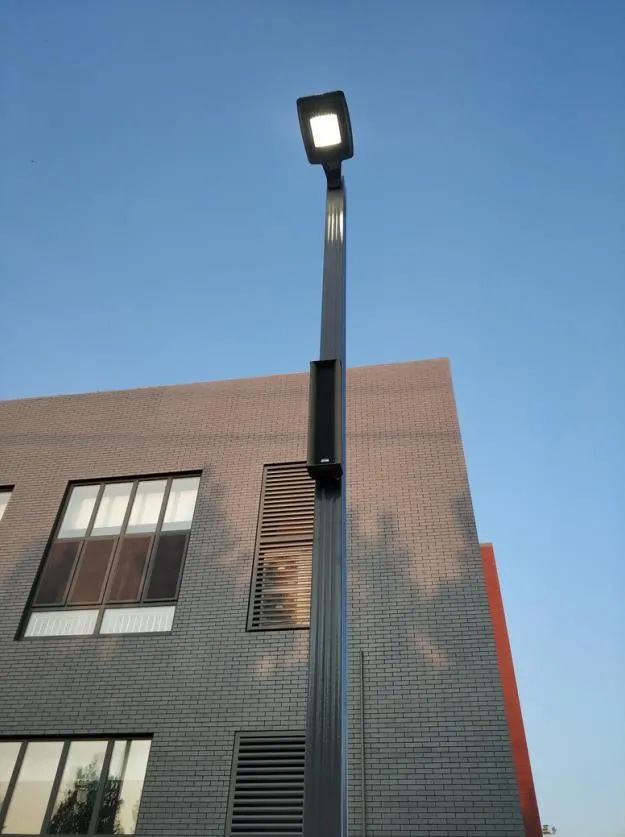 11.jpg