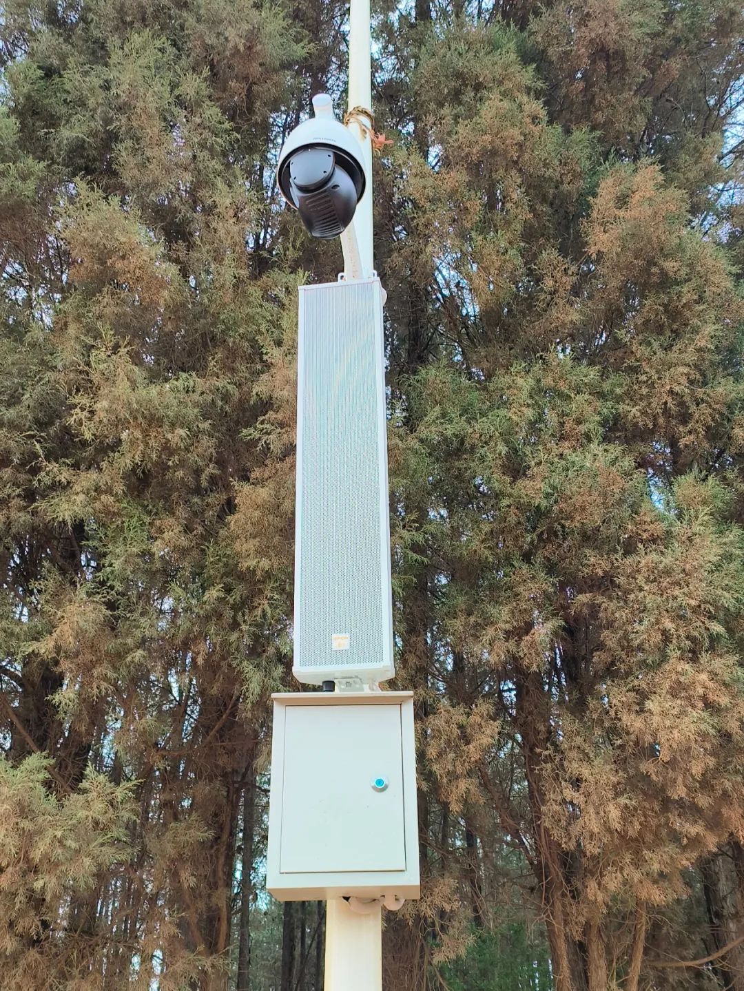 微信图片_20230621134541.jpg